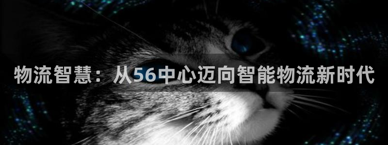 超凡国际是干嘛的：物流智慧：从56中