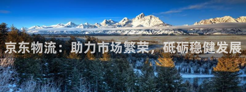 超凡国际app官网少林足球：京东物流
