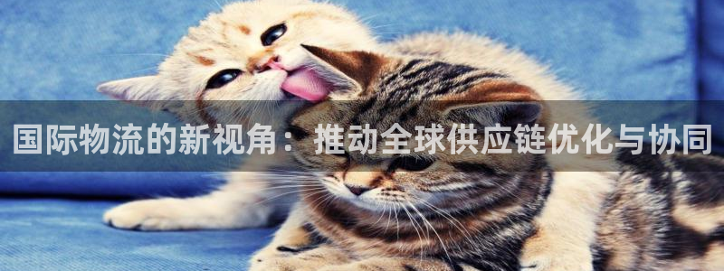超凡国际官网下载链接是什么：国际物流