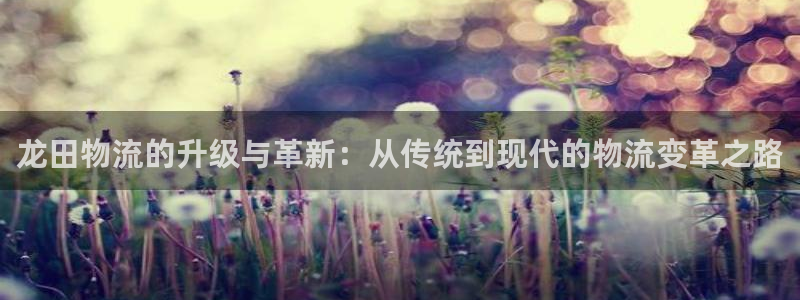 超凡国际加拿大下载：龙田物流的升级与革新：从传统到现代的物流