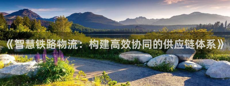 超凡国际网赌案件：《智慧铁路物流：构