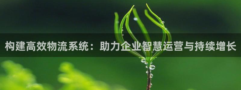 超凡国际p图上分下款通道：构建高效物