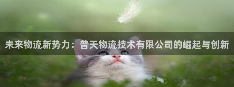 南宫超凡国际官网