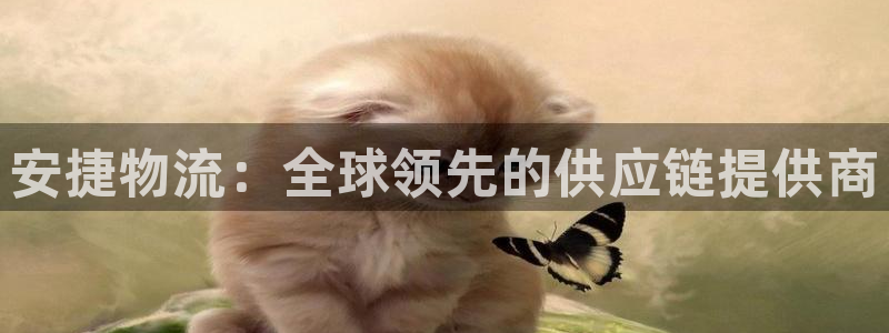 超凡国际如何退款：安捷物流：全球领先的供应链提供商