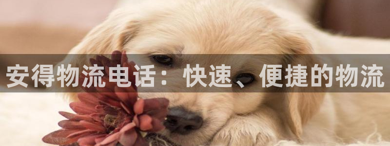 超凡国际充值方式：安得物流电话：快速