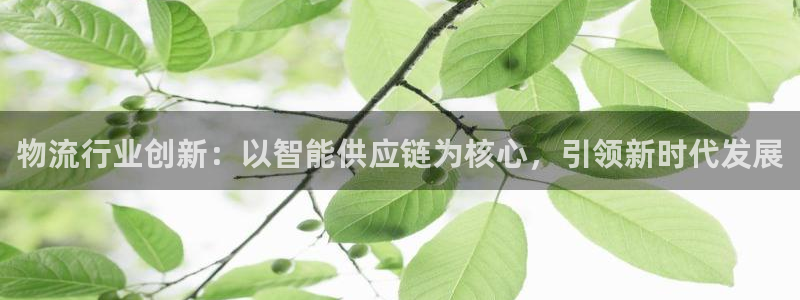 超凡国际官网下载链接怎么弄：物流行业创新：以智能供应链为核心