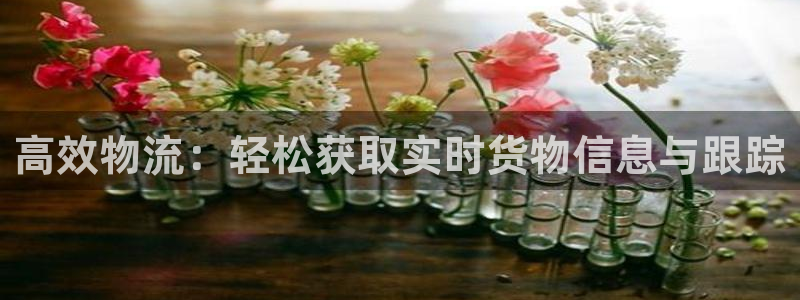 超凡国际官网入口2024：高效物流：