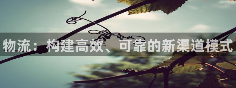 超凡国际官网下载链接怎么弄