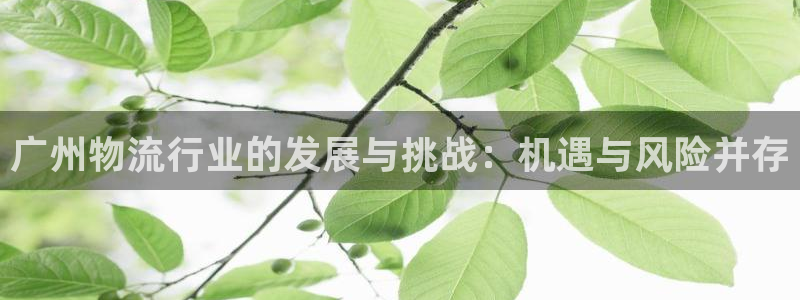 超凡国际官网开奖结果预测：广州物流行