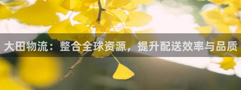超凡国际犯法吗：大田物流：整合全球资