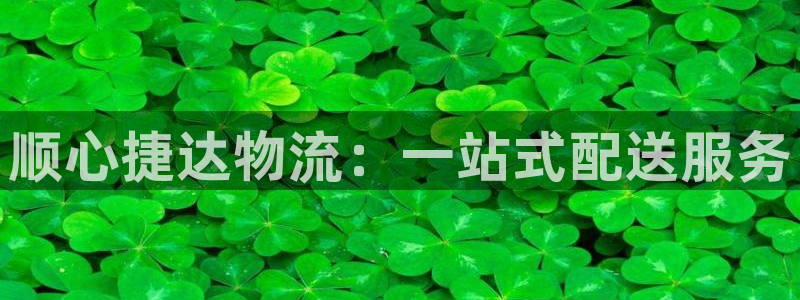 超凡国际游戏链接：顺心捷达物流：一站
