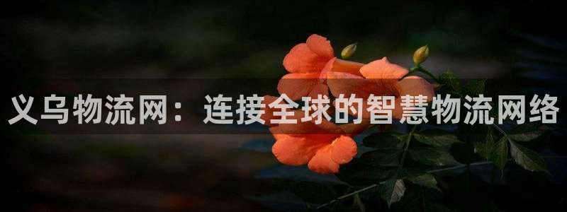 超凡国际如何看计划：义乌物流网：连接