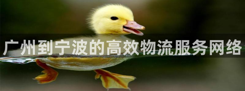 超凡国际h5链接：广州到宁波的高效物