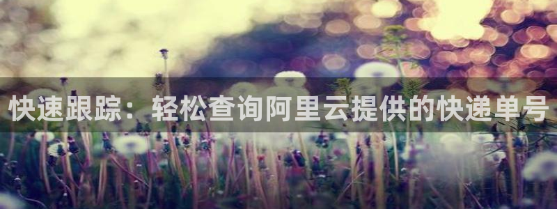 超凡国际登陆网：快速跟踪：轻松查询阿