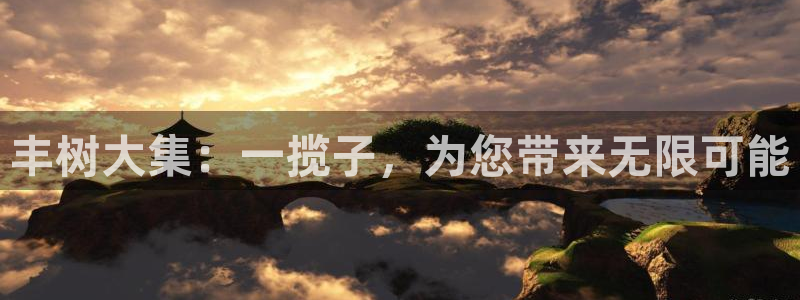 超凡国际防失联网址:丰树大集:一揽子