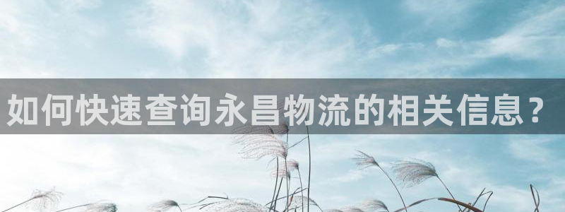 超凡国际连接：如何快速查询永昌物流的