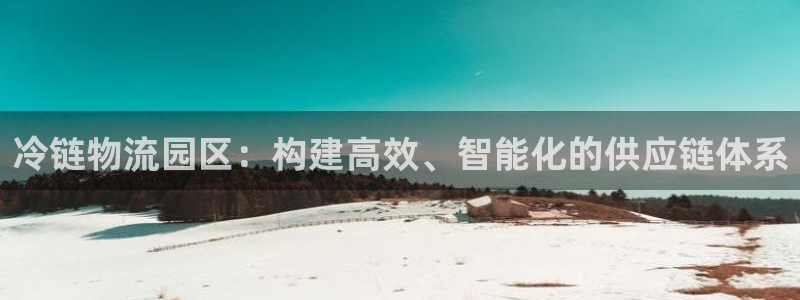 超凡国际网站平台是多少：冷链物流园区：构建高效、智能化的供应