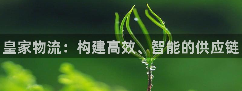 超凡国际cn：皇家物流：构建高效、智