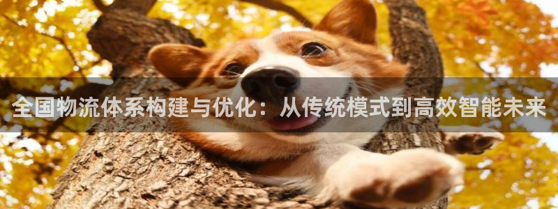 超凡国际的平台：全国物流体系构建与优化：从传统模式到高效智能