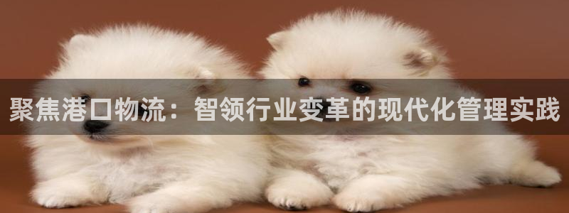 超凡国际初始密码在哪里修改的：聚焦港