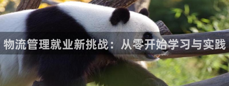 超凡国际链官网：物流管理就业新挑战：